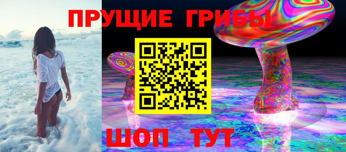 купить наркотики цена  Вход с VPN  Псилоцибиновые грибы ЛСД  Барабинск  Псилоцибиновые грибы Cubensis 