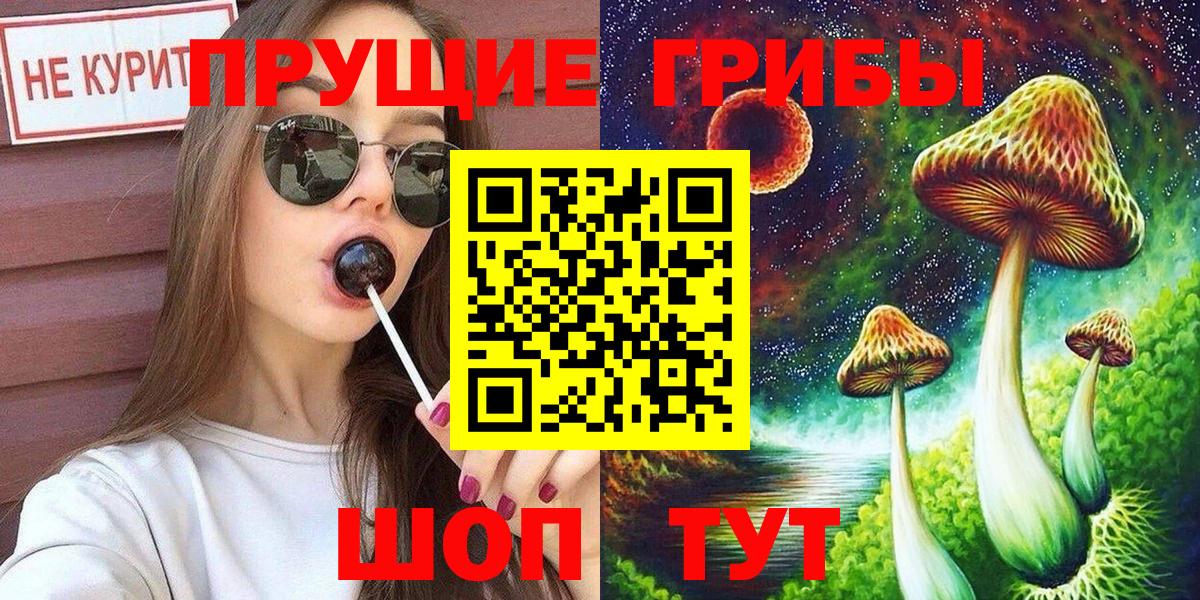 Псилоцибиновые грибы мицелий Барабинск